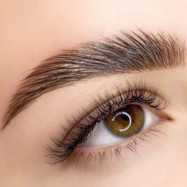 Augenbrauen und Wimpern