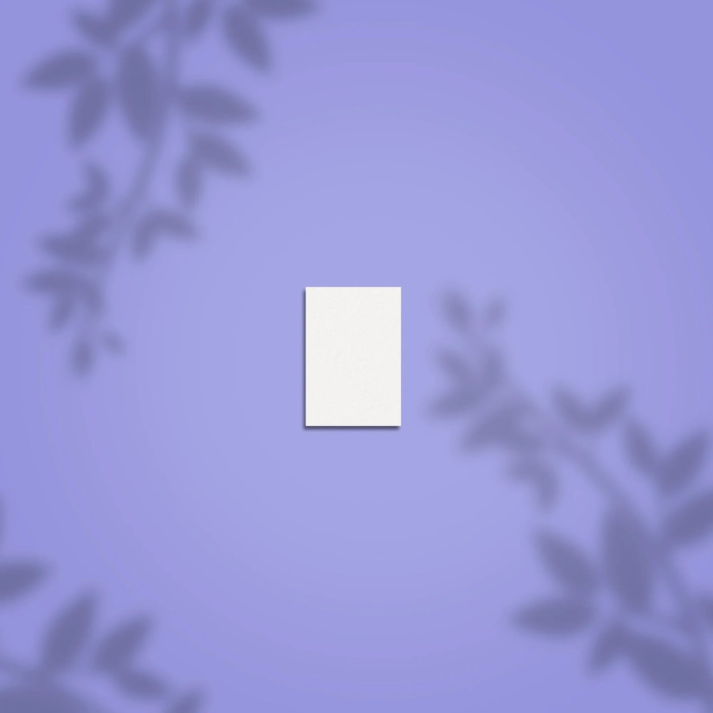 STALEKS PRO mini EXPERT 51 Rechteckschleifer, Körnung 100/180 (50 Stück)